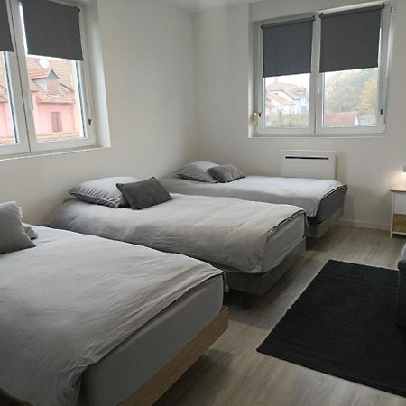 Appartement Entier F3 Renove - Petite Pause A Sélestat Esterno foto