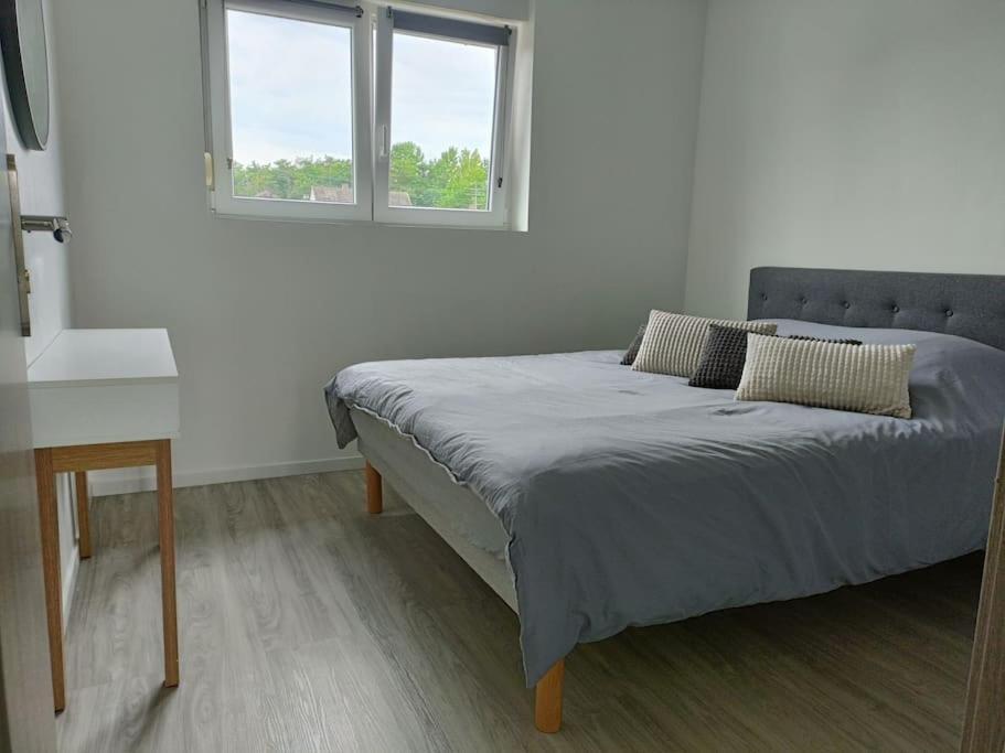 Appartement Entier F3 Renove - Petite Pause A Sélestat Esterno foto