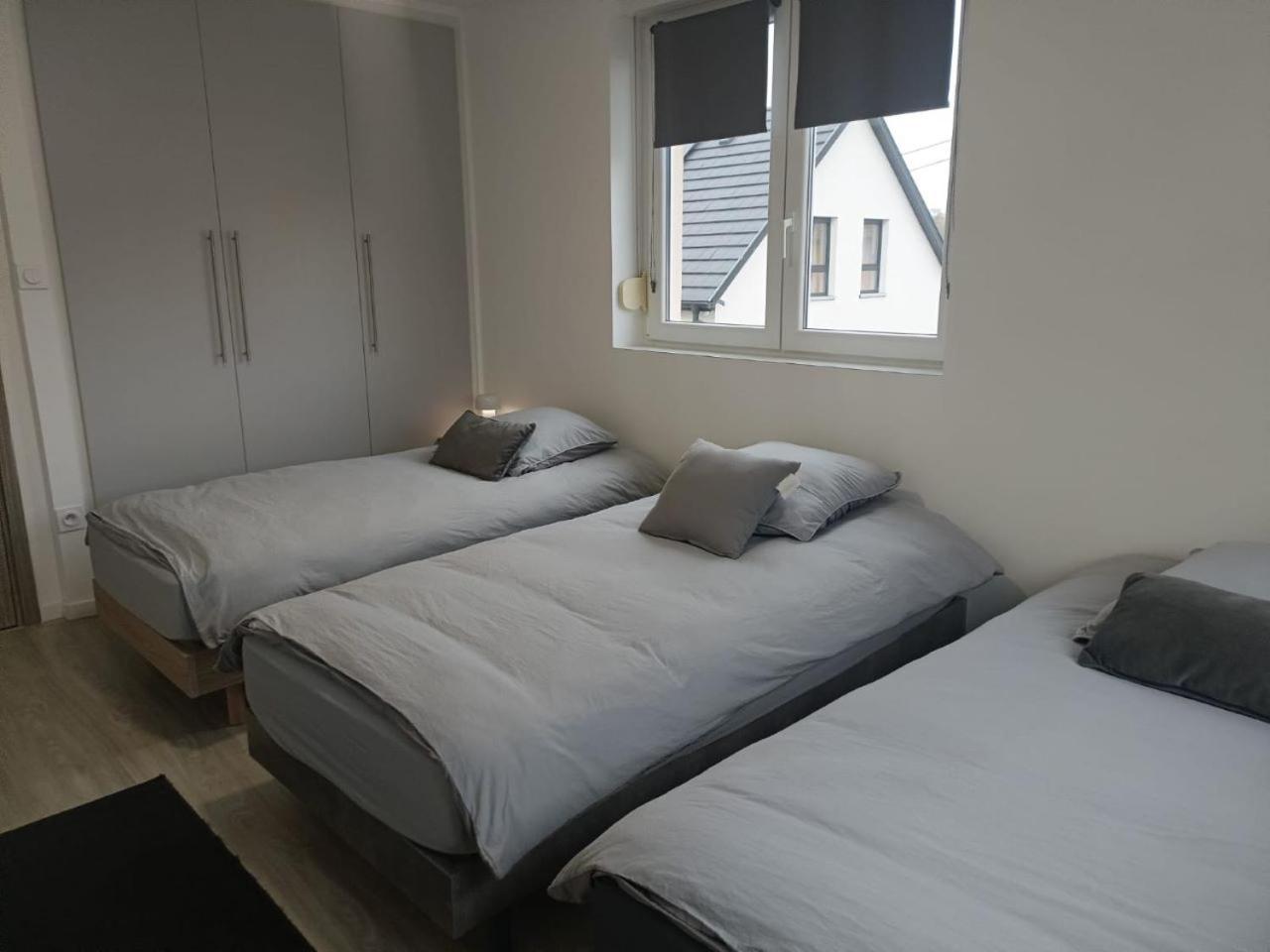 Appartement Entier F3 Renove - Petite Pause A Sélestat Esterno foto