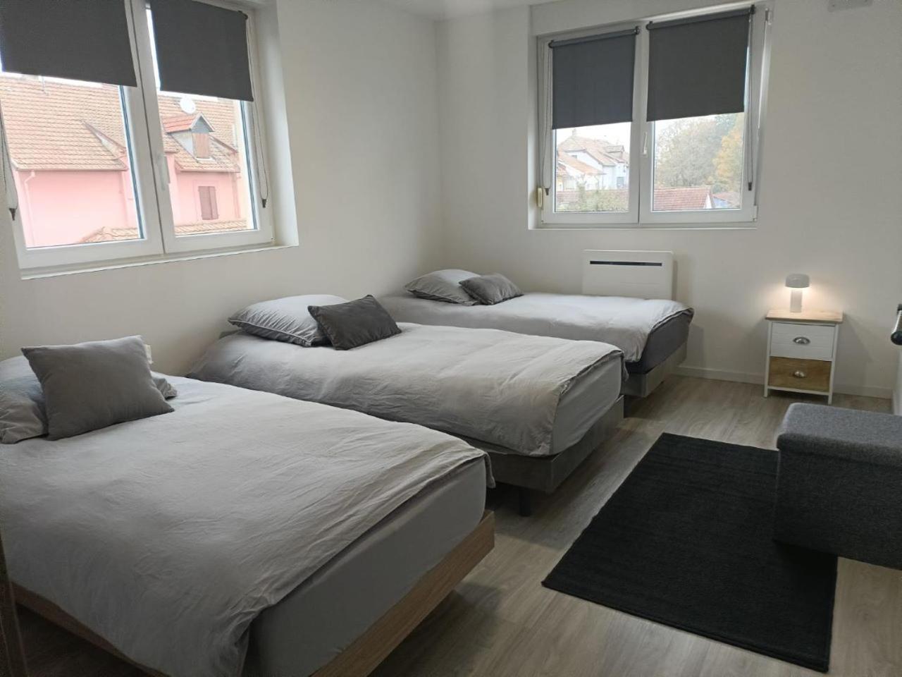 Appartement Entier F3 Renove - Petite Pause A Sélestat Esterno foto